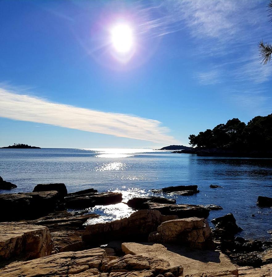 Martin Apartments Rovinj Dış mekan fotoğraf