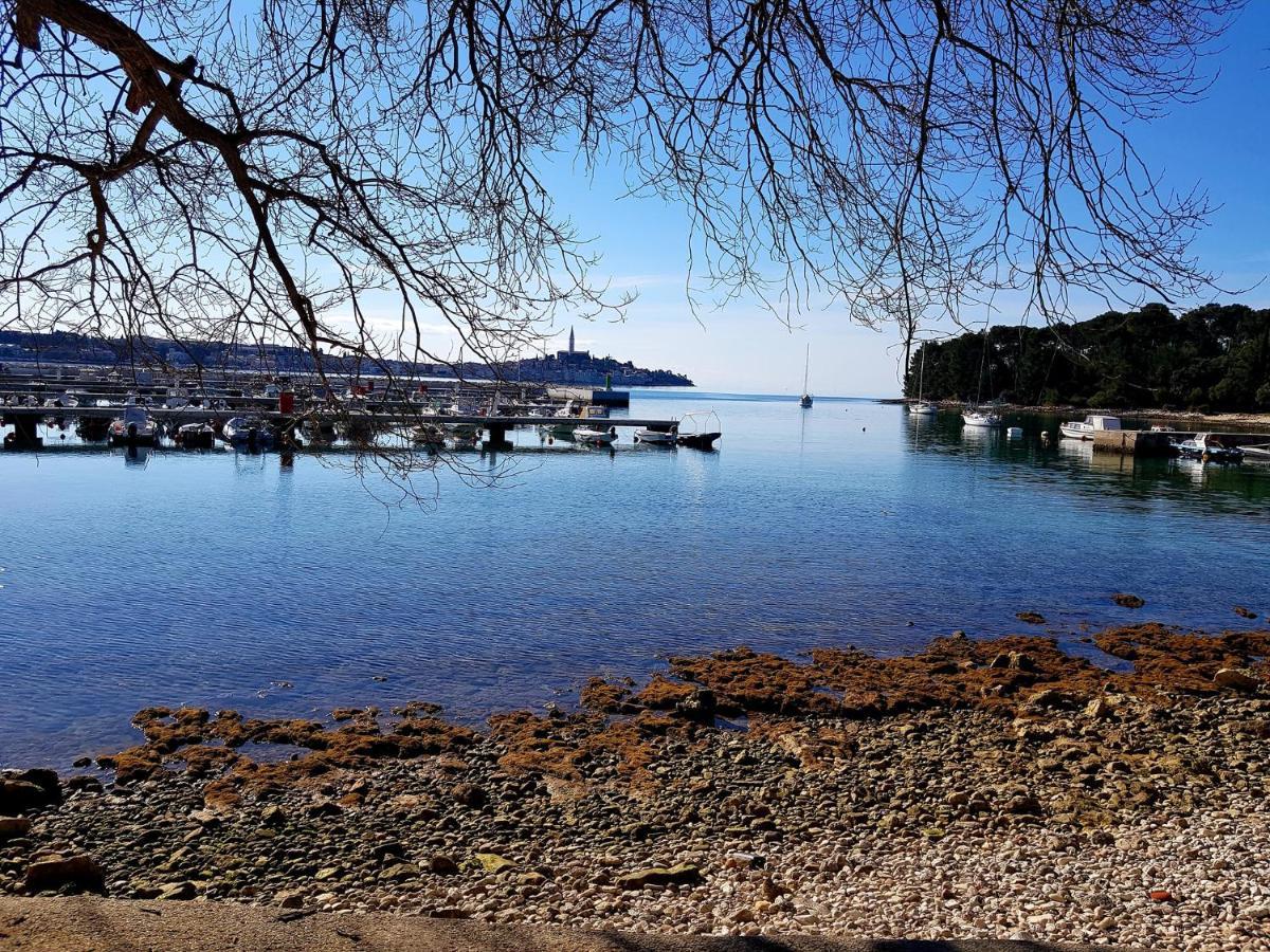 Martin Apartments Rovinj Dış mekan fotoğraf